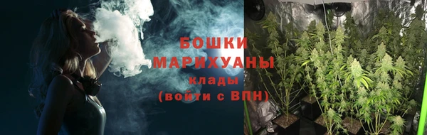 таблы Бородино