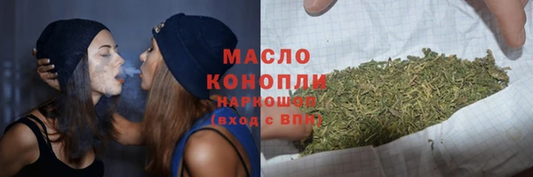 таблы Бородино