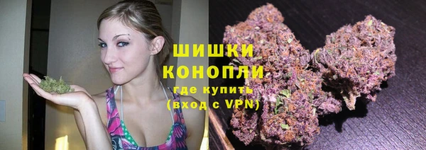 таблы Бородино