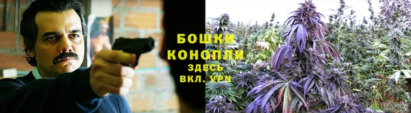 таблы Бородино