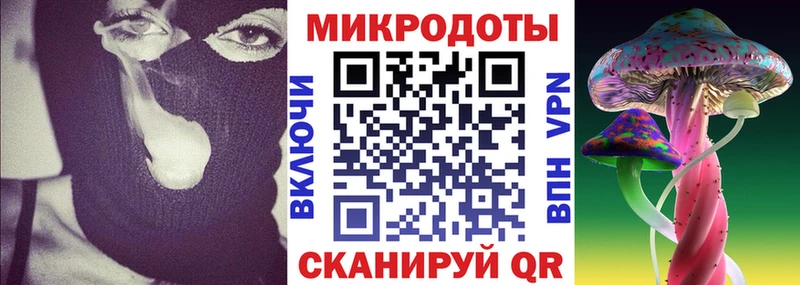 наркота  Грозный  Псилоцибиновые грибы мицелий 